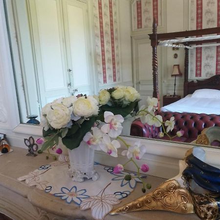 Chateau Du Guerinet D'Orchaise Bed & Breakfast Bagian luar foto