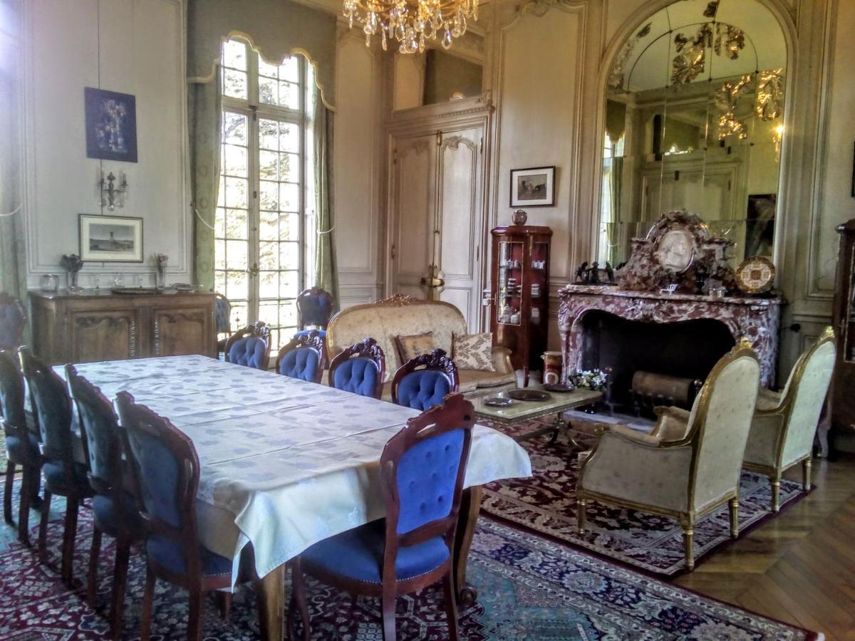 Chateau Du Guerinet D'Orchaise Bed & Breakfast Bagian luar foto