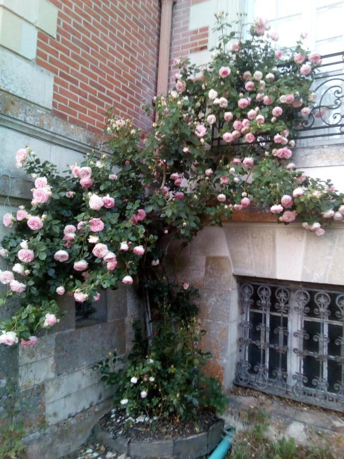 Chateau Du Guerinet D'Orchaise Bed & Breakfast Bagian luar foto