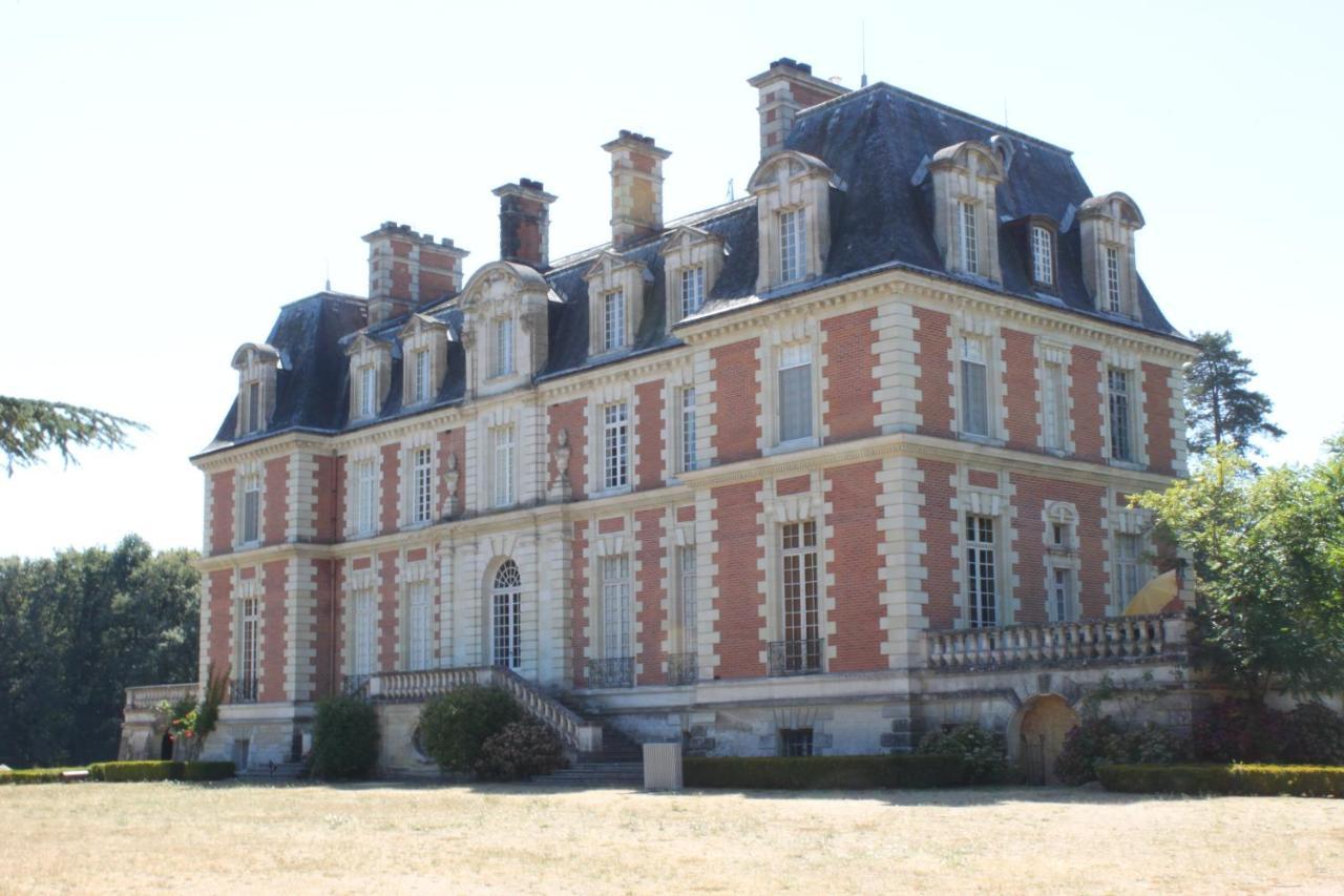 Chateau Du Guerinet D'Orchaise Bed & Breakfast Bagian luar foto