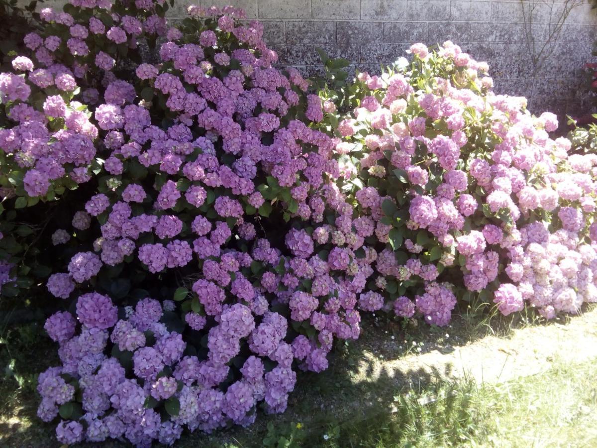 Chateau Du Guerinet D'Orchaise Bed & Breakfast Bagian luar foto