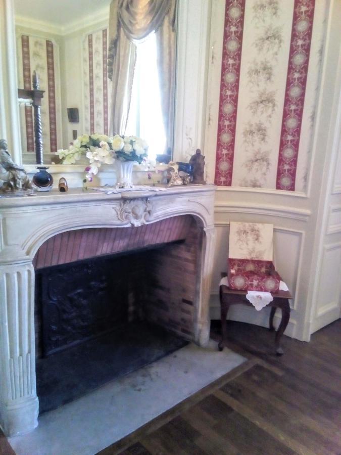 Chateau Du Guerinet D'Orchaise Bed & Breakfast Bagian luar foto